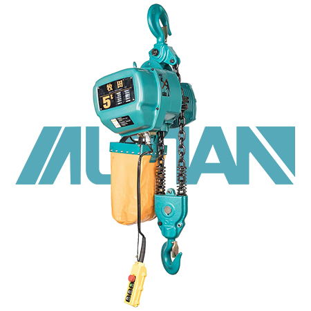 25 ton double chain electric hoist